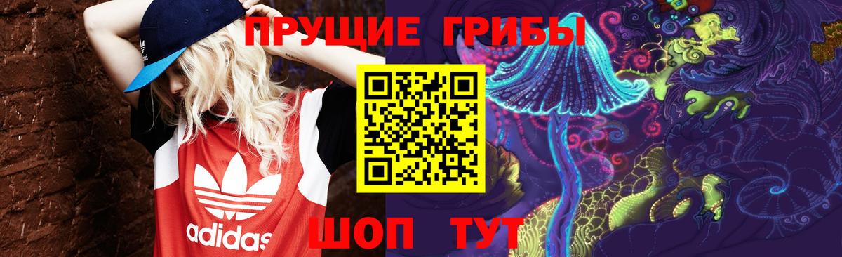 Белово  Псилоцибиновые грибы GOLDEN TEACHER  Вход с VPN 